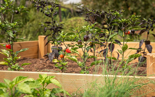 Neighborhood garden bed